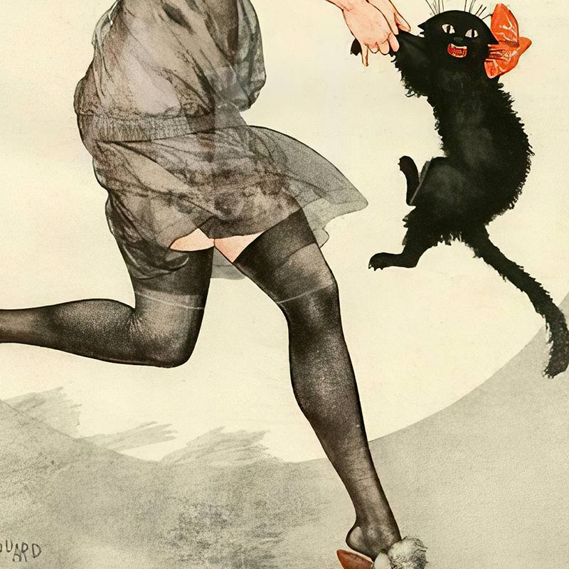 Woman and Black Cat Dancing Vi - Vintage Fashion Magazine Covers review and price